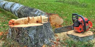 Best Stump Grinding and Removal  in White Meadow Lake, NJ